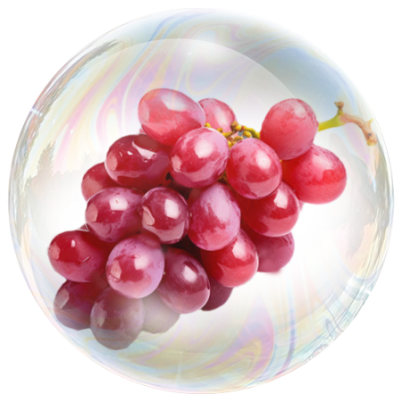 Grape (Vitis vinifera) **
