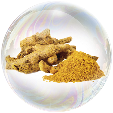 Turmeric (Curcuma longa)**